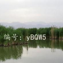 ǧ