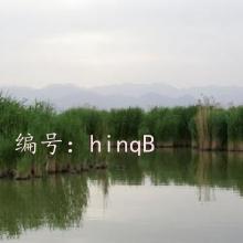 ѧУ